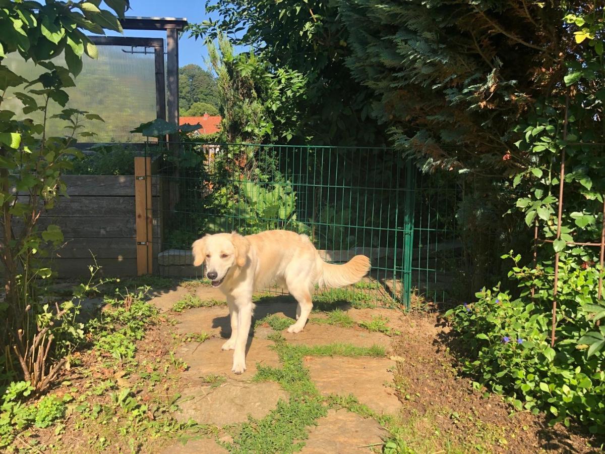 Millies Hosting - Familienurlaub Mit Hund In Kaernten Sankt Paul im Lavanttal Exterior photo