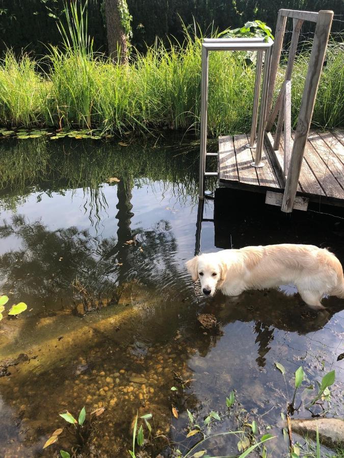 Millies Hosting - Familienurlaub Mit Hund In Kaernten Sankt Paul im Lavanttal Exterior photo