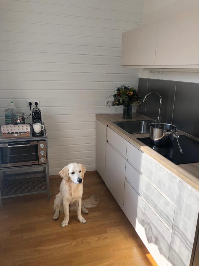Millies Hosting - Familienurlaub Mit Hund In Kaernten Sankt Paul im Lavanttal Exterior photo