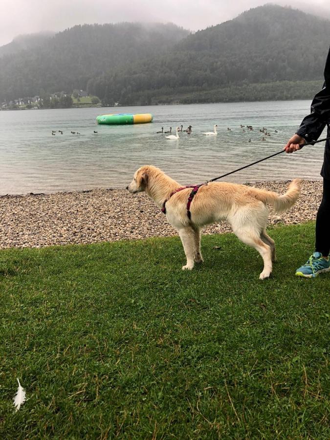 Millies Hosting - Familienurlaub Mit Hund In Kaernten Sankt Paul im Lavanttal Exterior photo