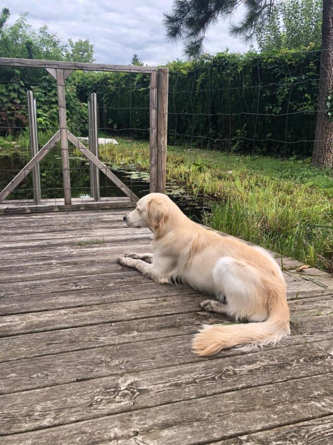 Millies Hosting - Familienurlaub Mit Hund In Kaernten Sankt Paul im Lavanttal Exterior photo