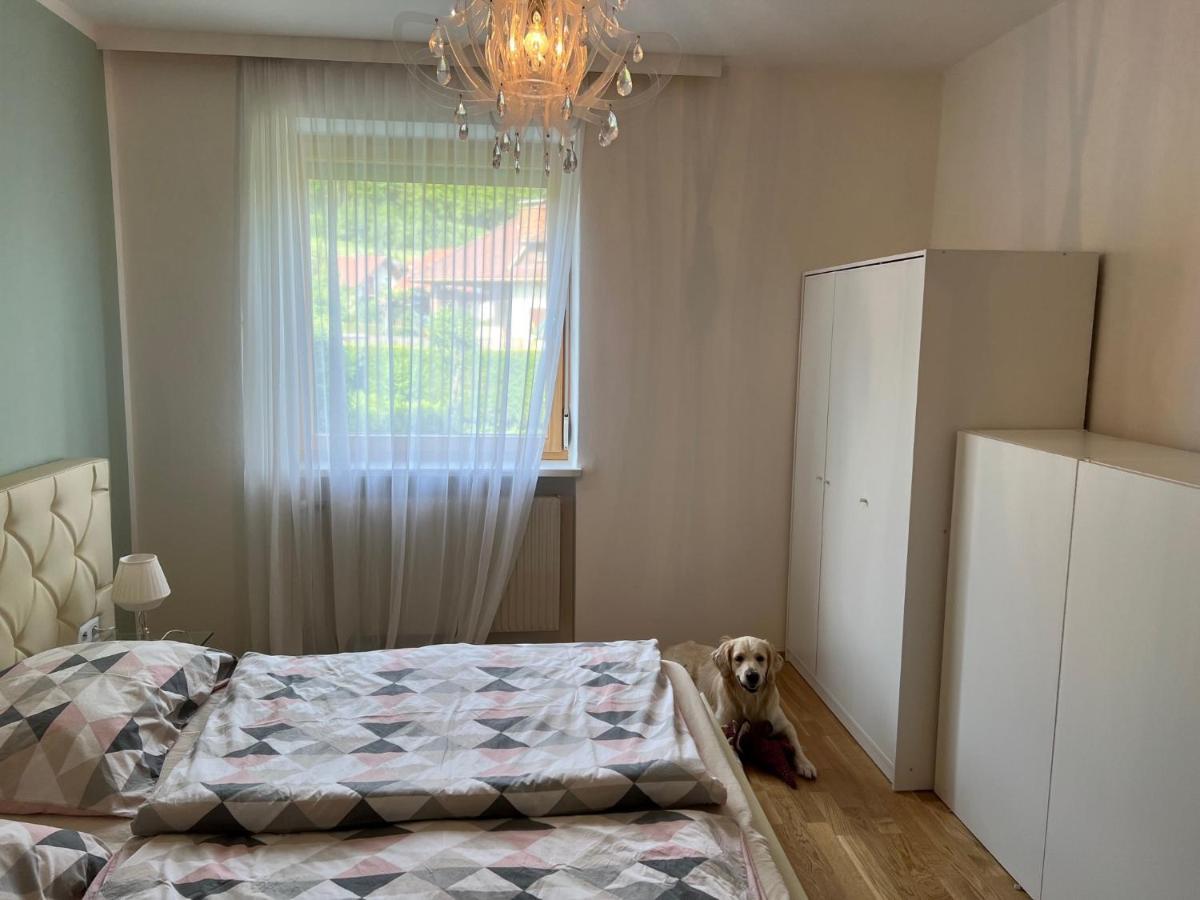 Millies Hosting - Familienurlaub Mit Hund In Kaernten Sankt Paul im Lavanttal Exterior photo